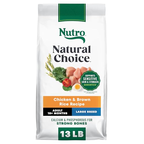 Image of Nutro Natural Choice Large Breed Adult Dry Dog Food, Chicken & Rice, 13 lb