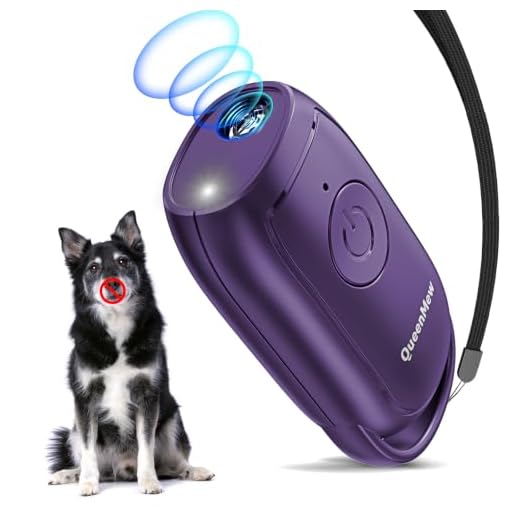 Kompaktes Anti-Bellen Gerät für Hunde