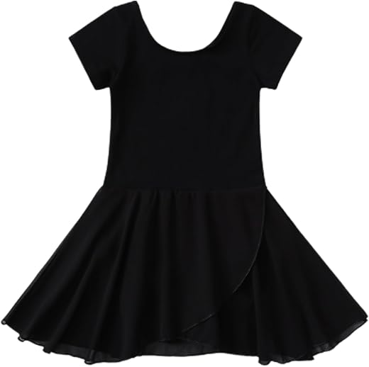 ALINTU Girls Ballet Dress Leotards Short Sleeve Tutu Skirted Leotard (Toddler/Little/Big Girl)
