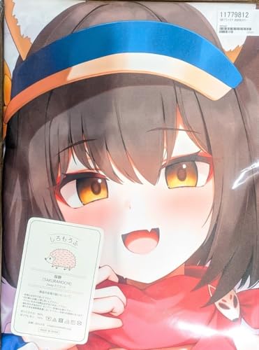 tgmiJ vcCYiJo[ SJ ̉ŁIވ