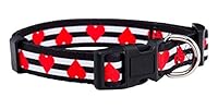 Algopix Similar Product 17 - Native Pup Valentines Dog Collar