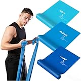 Elastici Fitness, Fasce Elastiche per Fitness, Set da 3 Bande di Resistenza per Palestra, Yoga, Pilates, Sviluppo Muscolare e Stretching Schiena - Per Allenamento a Casa o Palestra (Lunghezza 2.0M)