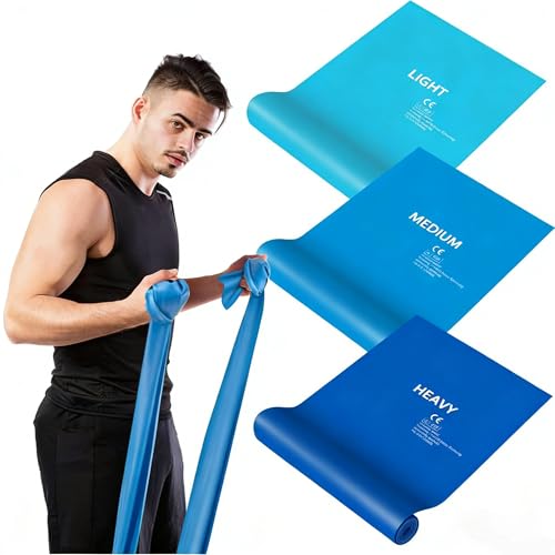 Elastici Fitness, Fasce Elastiche per Fitness, Set da 3 Bande di Resistenza per Palestra, Yoga, Pilates, Sviluppo Muscolare e Stretching Schiena - Per Allenamento a Casa o Palestra (Lunghezza 2.0M)