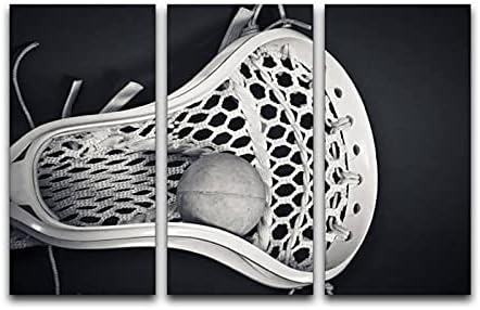 BEGYHZGLCF 3 Panel Canvas Wall Art Decor Lacrosse Head with Ball Black and White Poster Print On Canvas Artworks for Office Home Living Room Decor with Framed Ready to Hang, Multi2, 16ix32inchx3pcs
