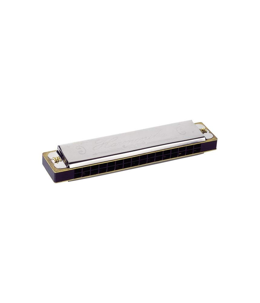 Goki - 2042019 - Instrument À Vent - Harmonica dans Un Carton