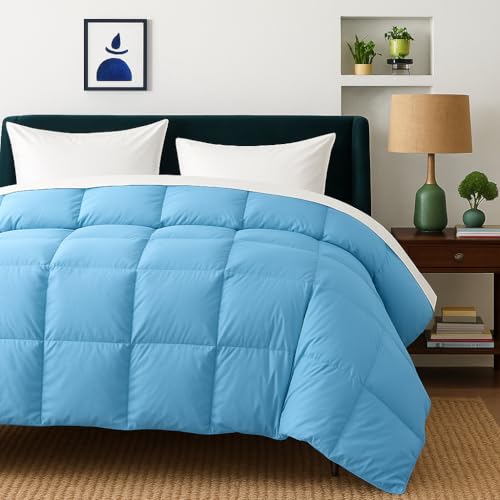 Image of Comforter Double Bed - All Season /AC Summer Blanket | Dohar | Duvets | Ultra Soft & Light Weight - (300 GSM, Light Blue)