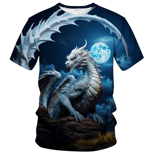 WHNBCW Traditional Chinese Dragon T-Shirt Funny Anime Graphic Tee Shirt,Blue,L