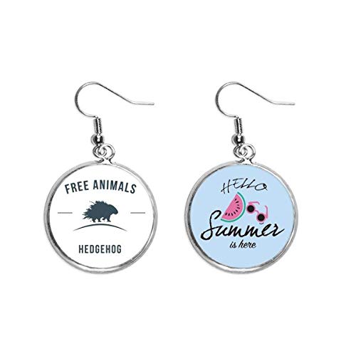Pendientes de sandía azul erizo de dibujo animado para lóbulos sensibles en verano