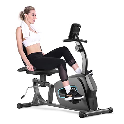 Recumbent Exercise Bike Stationary Bike for Home Sturdy Quiet 8 ...