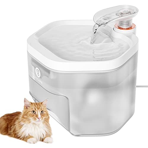 Amazon Best Sellers Best Dog Fountains
