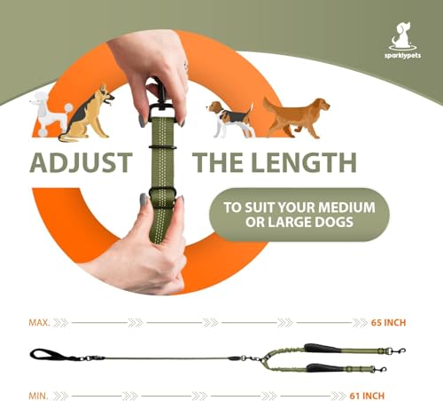 Laisse double pour 2 chiens pour ne plus subir les tractions