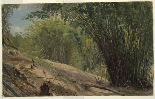 Toile Bamboo Grove Jamaïque pour sublimer un salon sombre ou sans vie 60x90cm