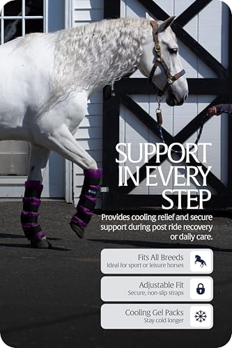 Image of Equinavia Cool Relief Therapy Equine Ice Boots for Horses-Gel Cooling Wraps | Reusable Horse Ice Boots, Soothing Ice Wraps for Horses Recovery Cool Gel for Tendons and Ligaments Soreness After Exercise