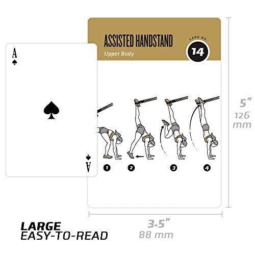 image for NewMe Fitness Suspension Workout Cards, Instructional Fitness Deck for