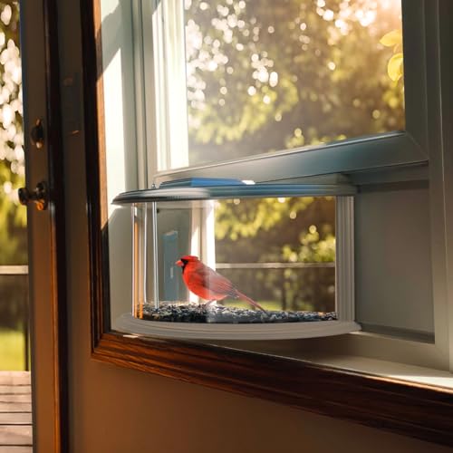JOYSEUS Window Bird Feeder, 180° Clear View Bird Feeder, Durable and Elegant in-Window Bird Feeder for Watching Birds - Embrace The Delight of Bird Feeder. by JOYSEUS - Image 2
