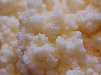 Organic Milk Kefir Grains - Live Culture from Naturally Harmonious EcoSystems