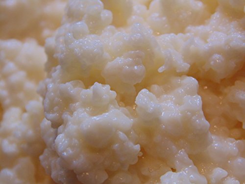 Organic Milk Kefir Grains - Live Culture from Naturally Harmonious EcoSystems