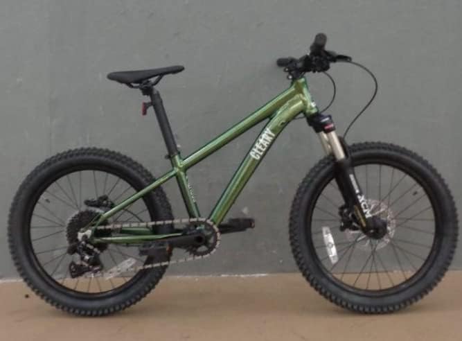 Cleary Bikes Scout 20 Inch 9 Speed Kids MTN Bike - Intergalactic Green