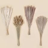DomeStar 130PCS Dried Pampas Grass Bulks Fall Decor, 18' Natural Bunny Tail Grass, Boho Rustic Bouquet, Fall Decorations for Home, Farmhouse Table Vase & Wedding Decor