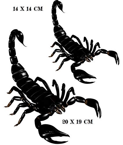 Scorpion Collection (Scorpion Iron on Transfer Sheet)