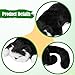 Colcolo Juguete electrónico Interactivo para Gatos con Ruedas Imagen de Colcolo Juguete electrónico Interactivo para Gatos con Ruedas