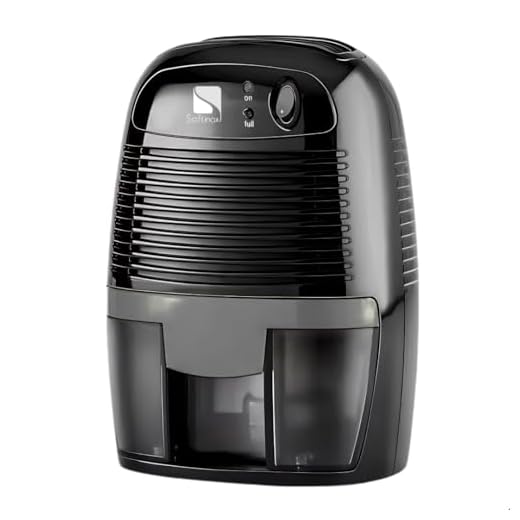 Desumidificador Elétrico Portátil Bivolt Antimofo 500ml (Preto)