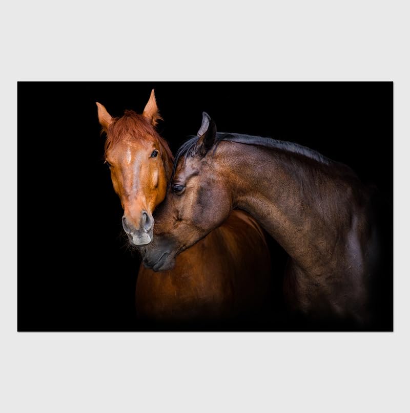 GOWE Home Horses Caressing Acrylic Wall Art (32