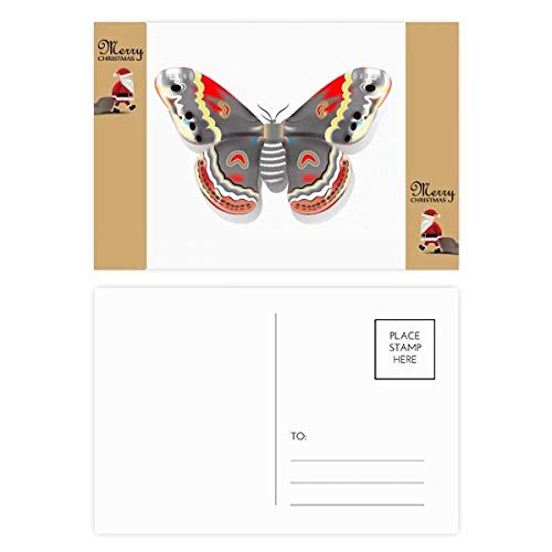 Cartes postales de remerciement motif papillon 3D pour surprendre vos proches