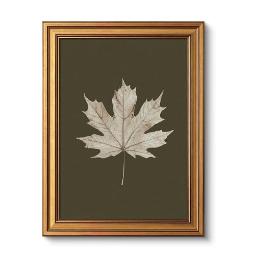 Image of VIYYIEA Vintage Gold Framed Wall Art for Living Room, Maple Leaf Canvas Prints Home Decor, Oil Painting Picture, Bedroom Wall Decor Gifts for Friends or Family -【Maple Leaf Specimen】-(16L x 12W)