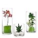 Set of 3 Glass Cylinder Vases 4, 8, 10 Inch Tall - Multi-use: Pillar Candle, Floating Candles Holders or Flower Vase - Perfect as a Wedding Centerpieces.