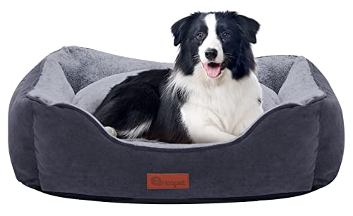 Hoopet Dog Beds For Large Medium Small Dogs With Reversible Cushion,Soft Machine Washable Removable Cover Rectangle Pet Puppy Cat Sofa Bed Non-Slip Bottom…… #TOP9
