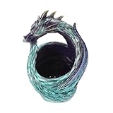 BESPORTBLE Resin Dragon Shape Flower Pot Succulent Planter Pot Pot Feet for Outdoor