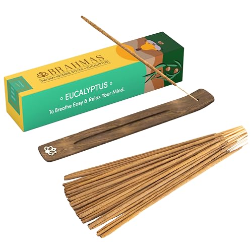 BRAHMAS Eucalyptus Incense Sticks with Holder (60 Sticks) – Long Burn Pure Organic Natural Eucalyptus Stick for Focus, Cleansing, Meditation, Relaxation (100gm) - Non-Toxic & Chemicals Free