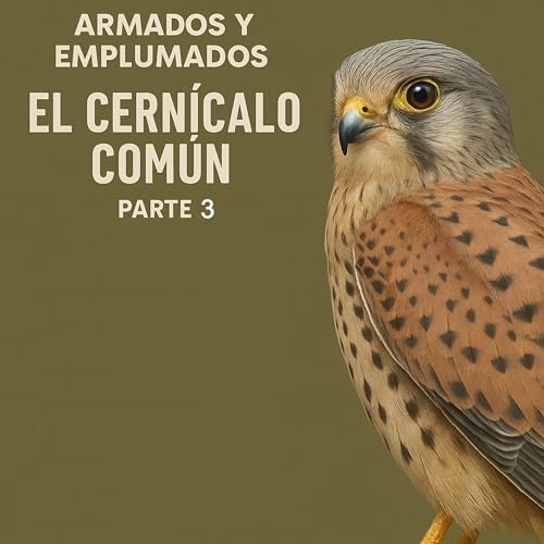 EL CERN&Iacute;CALO 3&ordf; PARTE