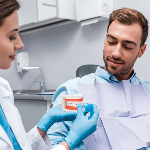 Rosenice Anatomisches Zahnmodell Gebiss, Professionelles Dental Demonstrationsmodell aus PVC, Zahnersatz-Mundmodell Demonstration, Erweiterbar um 180° für Zahnunterricht oder Mundpflege