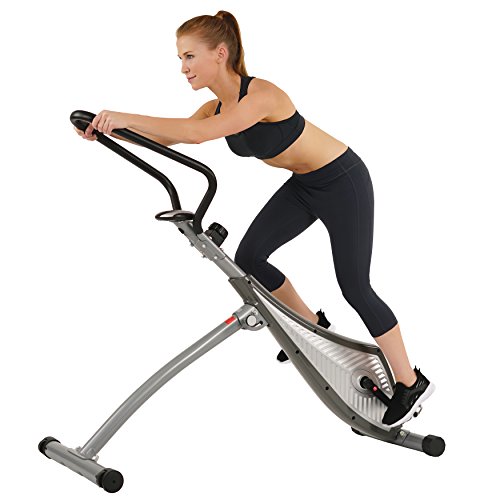 Sunny Health & Fitness SF-0419 Incline Plank Standing Stepper Bike