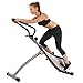 Sunny Health & Fitness SF-0419 Incline Plank Standing Stepper Bike