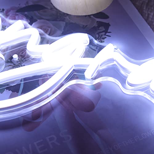 Image of Britrio Congrats Neon Sign for Congratulations Graduation Wedding Ceremony Birthday Party Celebration Banquet Backdrop Grad Gift - White 5V USB Powered - 15.75 inch x 6.69 inch Acrylic LED Neon Sign
