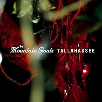 Vinyl Tallahassee Book
