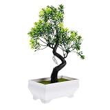 GRIRIW Künstlicher Bonsai-Baum Im Topf Für Den Innenbereich Kunstpflanze Zur Dekoration Lebensechte Kunstpflanze Für Das Wohnzimmer 23 X 11 30 X 6 50 cm