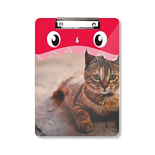 Dossier à tête plate A4 animal calme chat bloc-notes apprentissage écriture