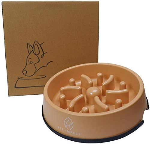 Petstages Kitty Slow Feeder Cat Bowl 