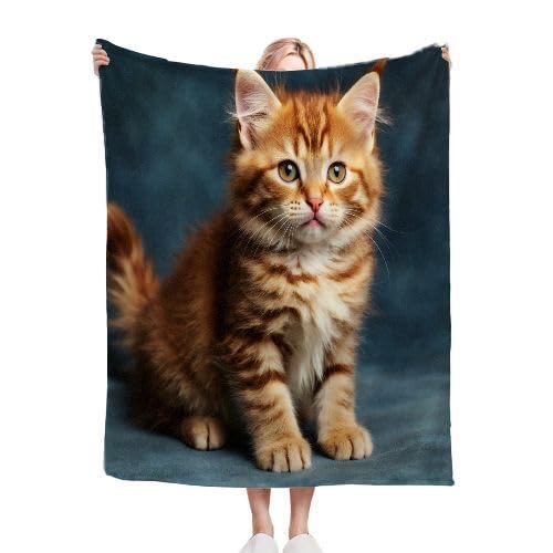 Couverture pour deux personnes soirée cocooning plaid chat 3D