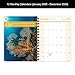 Dated Annual I US ALL 2026 Planner, Full Calendar Year, Medium (6.625