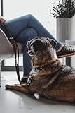 Hunter Hundehalsband Grenada aus Leder, Farbe: Dunkelbraun, handgefertigt in Deutschland, für Training und Alltag, robust, komfortabel, Schlichtes, Elegantes Design, Größe: 32, Umfang: 24-28 cm