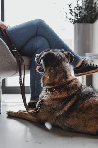 Hunter Hundehalsband Grenada aus Leder, Farbe: Dunkelbraun, handgefertigt in Deutschland, für Training und Alltag, robust, komfortabel, Schlichtes, Elegantes Design, Größe: 32, Umfang: 24-28 cm