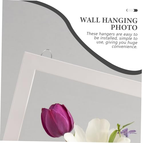 Image of Holibanna 20pcs d Picture Hangers Multi-Function Metal Wall Hooks for Hanging Photos Posters and Mirrors Easy to Install Hardware for Home Office Use