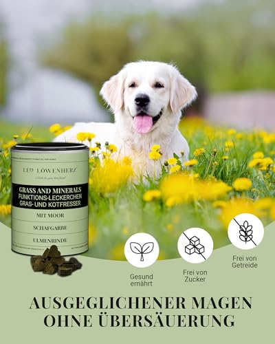 LEO LÖWENHERZ Gras- & Kotfresser Leckerlis für Hunde - 370g - Natürliche Drops zur Futterergänzung - Zuckerfrei & getreidefrei - Made in Germany