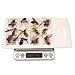 GOCAPTAIN Fly Fishing Flies Kit - 12pcs Dry Flies for Freshwater and Saltwater Fishing