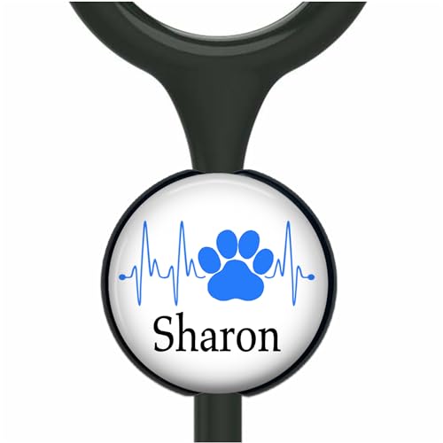 Find The Best Stethoscope For Vet Tech Reviews & Comparison Katynel